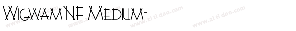 WigwamNF Medium字体转换